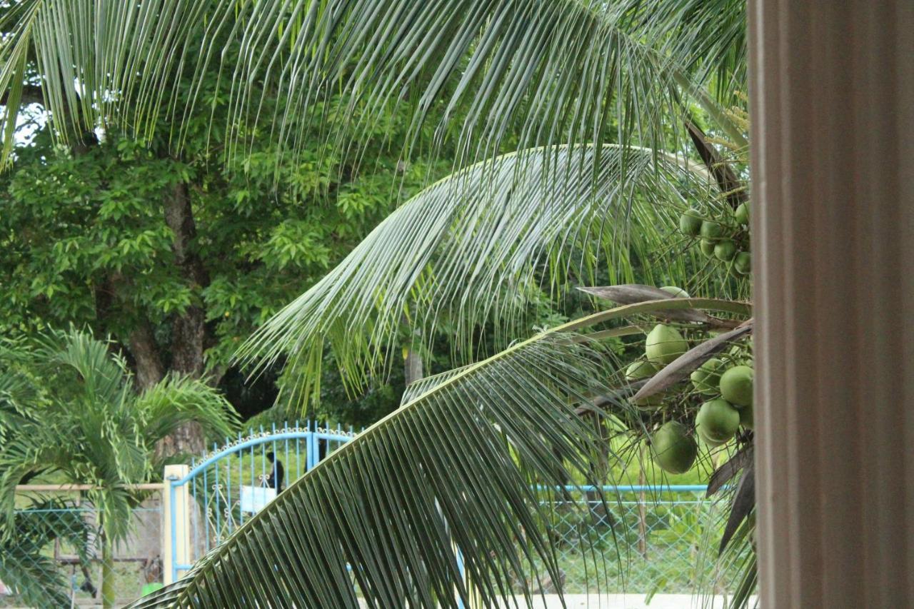 Maya Guest House - Sipaway Island San Carlos  المظهر الخارجي الصورة